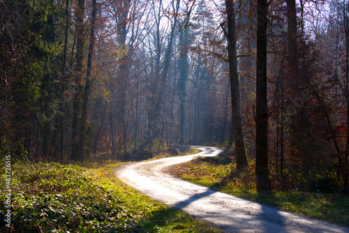 Winding rural gravel road in the woods with focus on background near the airport on a sunny winter day. Photo taken January 26th, 2022, Zurich, Switzerland.