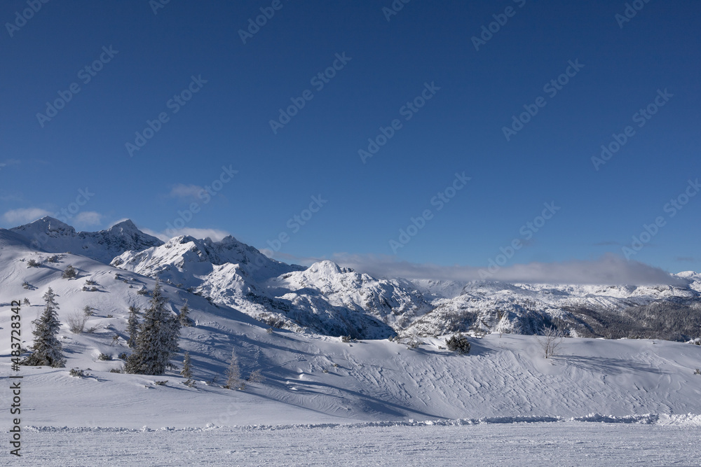 Fototapeta premium winter mountain landscape in the Alps