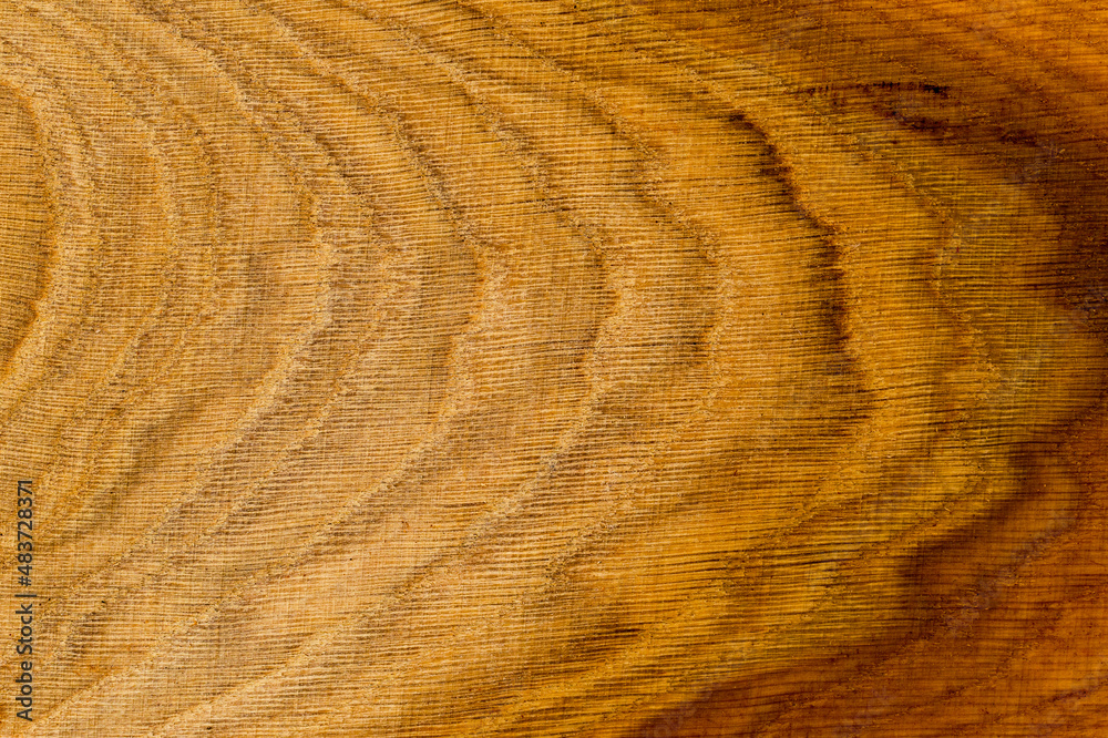 Naklejka premium Rough oak wood plank cut saw closeup photo background