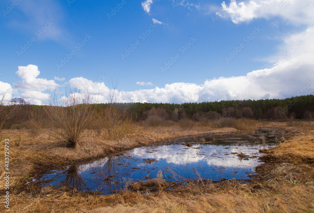 Spring in Belarus. Dry yellow grass, blue sky reflecting in the river. Warm pleasant april sunny day country side photo