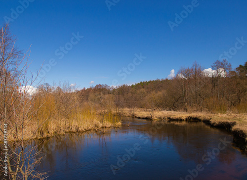 Spring in Belarus. Dry yellow grass, blue sky reflecting in the river. Warm pleasant april sunny day country side photo © foxberry