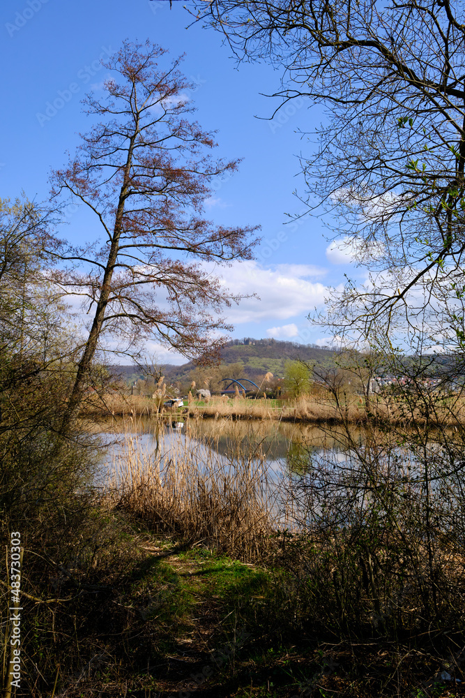 Obraz premium Sander Baggerseen im Naturschutzgebiet Mainaue bei Augsfeld, Landkreis Hassberge, Unterfranken, Franken, Bayern, Deutschland.