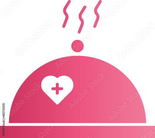 Healthy food icon