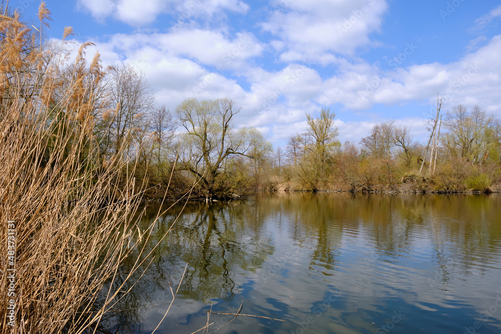 Sander Baggerseen im Naturschutzgebiet Mainaue bei Augsfeld, Landkreis Hassberge, Unterfranken, Franken, Bayern, Deutschland. Sander Baggerseen im Naturschutzgebiet Mainaue bei Augsfeld, Landkreis Hassberge, Unterfranken, Franken, Bayern, Deutschland.