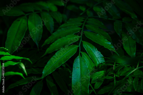 A green background, the color of autumn leaves is perfect for seasonal use.