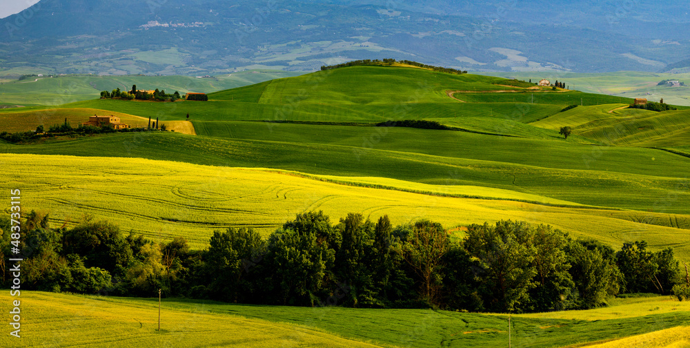 Tuscany, Italy landscape. Super high quality panorama taken at wonderful sunrise. Vineyards, hills, farm house.