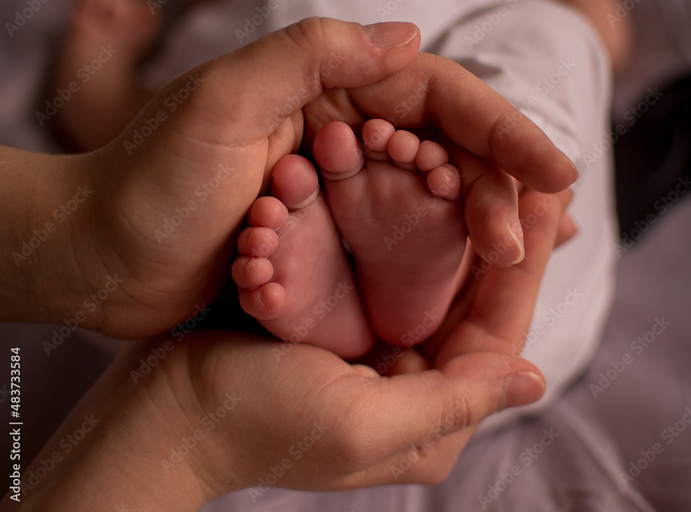 Parent holding in the hands feet of newborn baby. Parent holding in the hands feet of newborn baby.