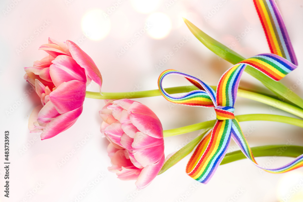 Spring tulip flowers bunch decorated with colorful rainbow ribbon border design. Valentine Flowers Gift with LGBT colourful bow, pink background. Gay pride design banner, Bouquet with flag of LGBTQ