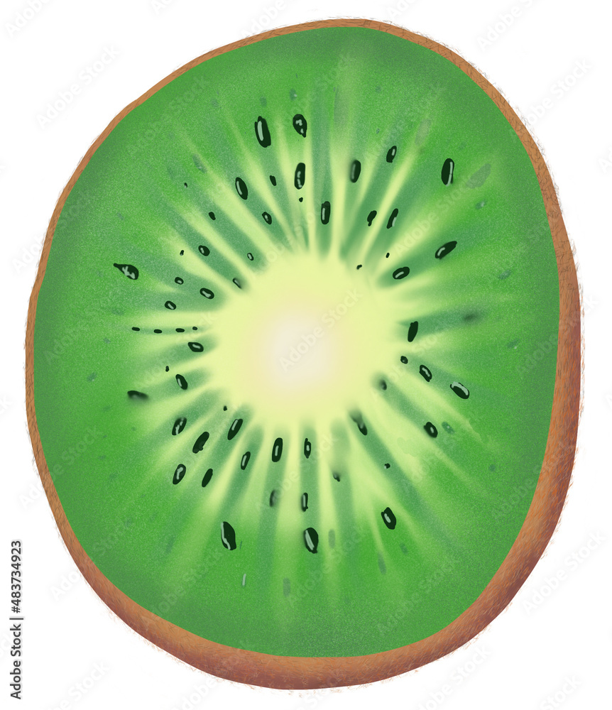 slice of kiwi fruit isolated on white backgroud slice of kiwi fruit isolated on white backgroud