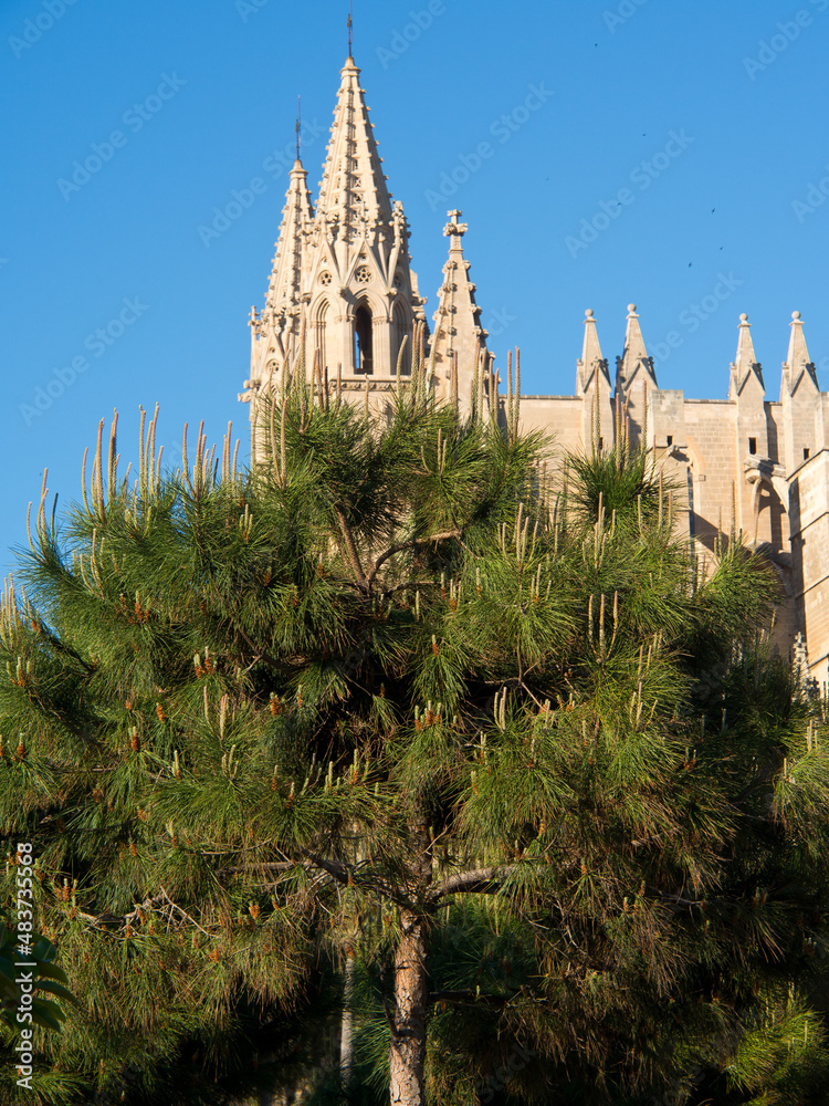 Palma de Mallorca auf den Balearen Palma de Mallorca auf den Balearen