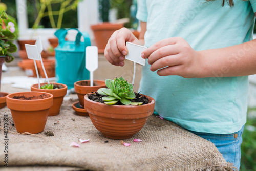 Activities for growing and taking care of plants with children concept. Close up of girl planting flowers in pots at greenhouse. Kids learning gardening outdoors.