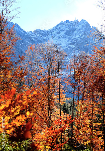 Autumn forest  Zugspitze