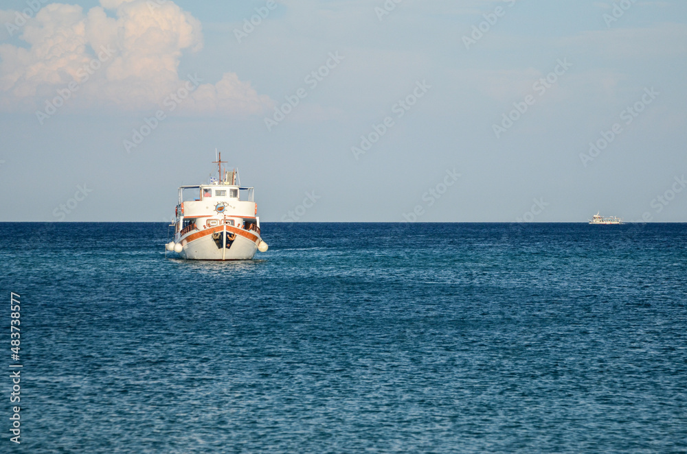 Fototapeta premium Marine in the sea