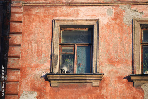 old houses in St. Petersburg, windows are close, pigeons flying
