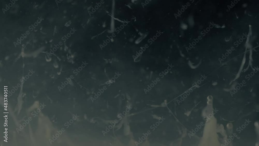 strange looking underwater world in 2k, egg white in hot water in front of black background, protein curdling at 60 fps. strange looking underwater world in 2k, egg white in hot water in front of black background, protein curdling at 60 fps.