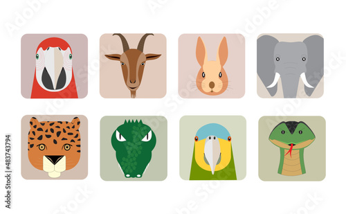 Set of portraits of animals in the form of icons (vector illustration - symbols)	

