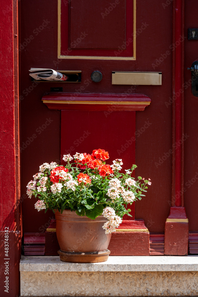 Fototapeta premium Mit Pflanztopf dekorierte Haustür