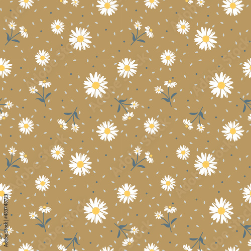 Floral daisy colorful seamless pattern. Daisies flowers vector print.
