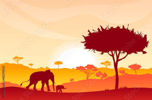 Wild nature sunrise  sunset landscape  African elephant  elephant baby silhouette  hills covered by acacias. Savannah morning  evening. Beautiful natural scenery  animal  wildlife. Vector illustration