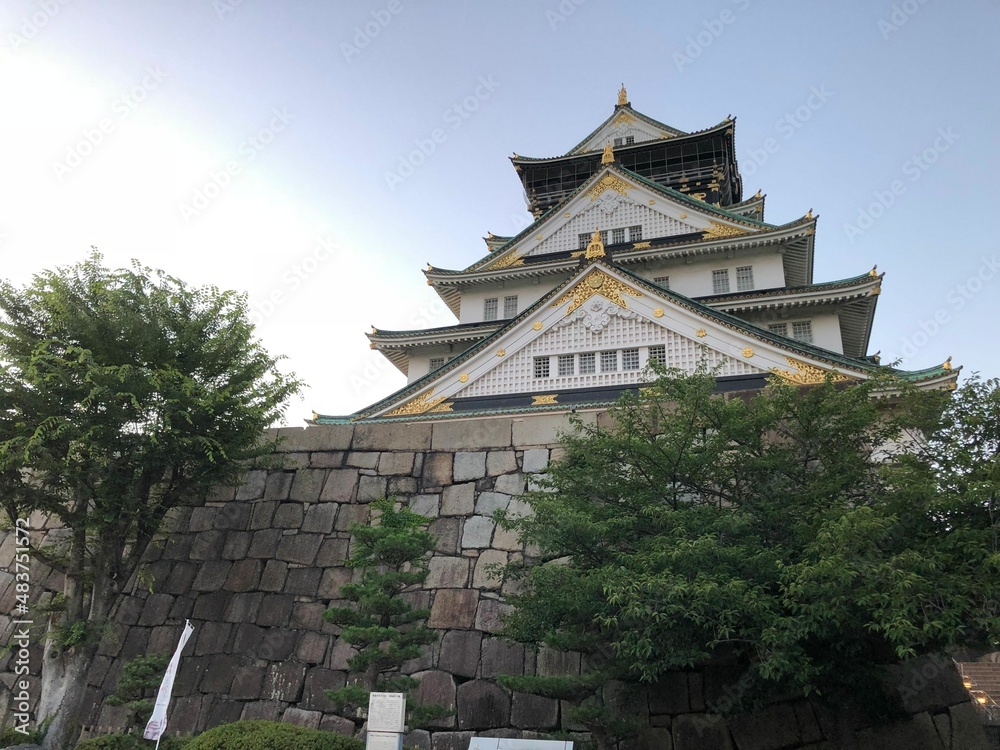 A famous historical sightseeing spot in Japan Osaka Jo castle above the stone wall in the park in summer under the blue sky taken from the low angle