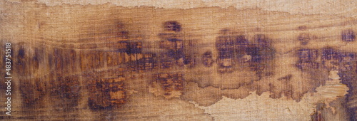 Wallpaper Mural Holzpaneele Eiche Rustikal extra lang  Torontodigital.ca