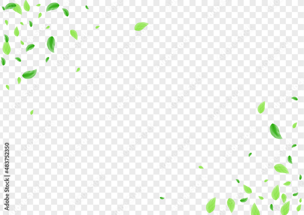 Green Leaves Background Transparent Vector. Sheet Rustic Design. Herbarium Card. Light Green Spring Frame. Greenery Clear. Green Leaves Background Transparent Vector. Sheet Rustic Design. Herbarium Card. Light Green Spring Frame. Greenery Clear.