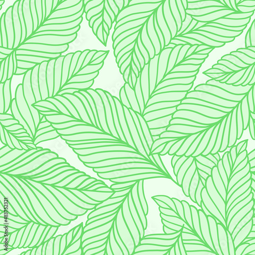 Elegant seamless pattern with delicate leaves. Vector Hand drawn floral background.