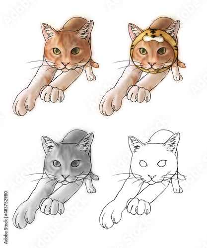 handwriting cat illust