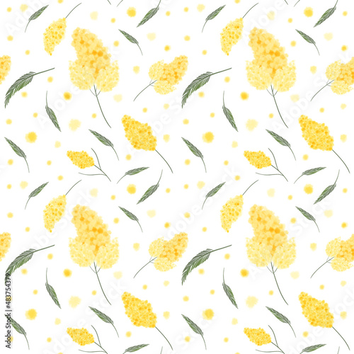 Mimosa. Flowers. Floral seamless pattern. Spring illustration.
