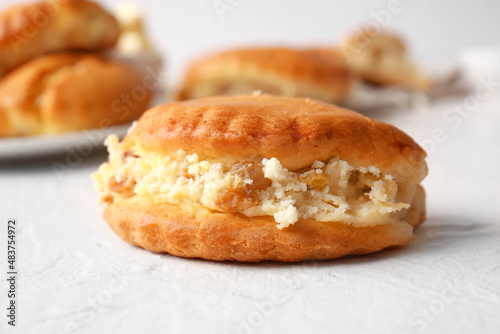 Tasty sochnik with cottage cheese on white background