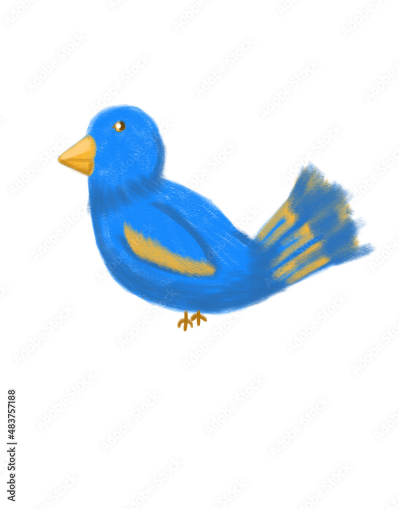 Fototapeta premium blue bird isolated on white background