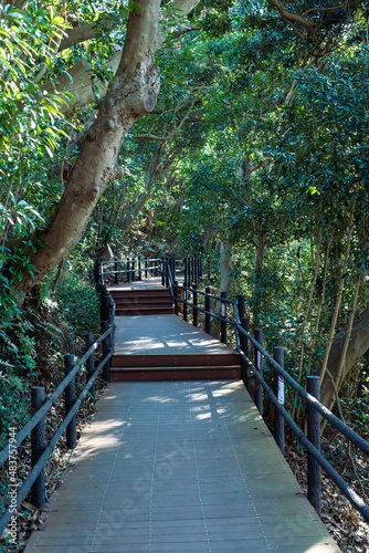 bridge in the park