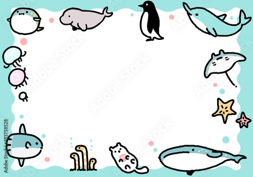 海　生き物　フレーム