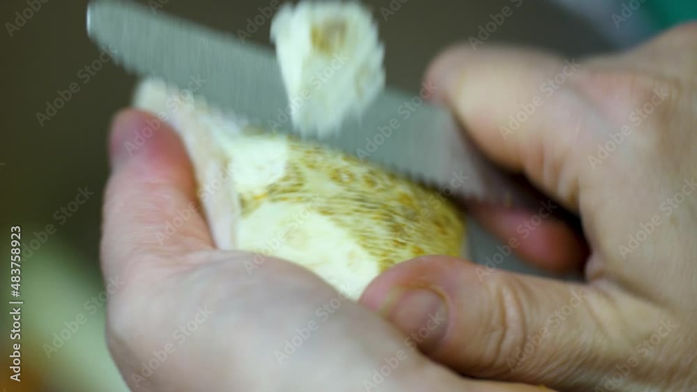 Striping a celeriac root veggie with knife macro Striping a celeriac root veggie with knife macro
