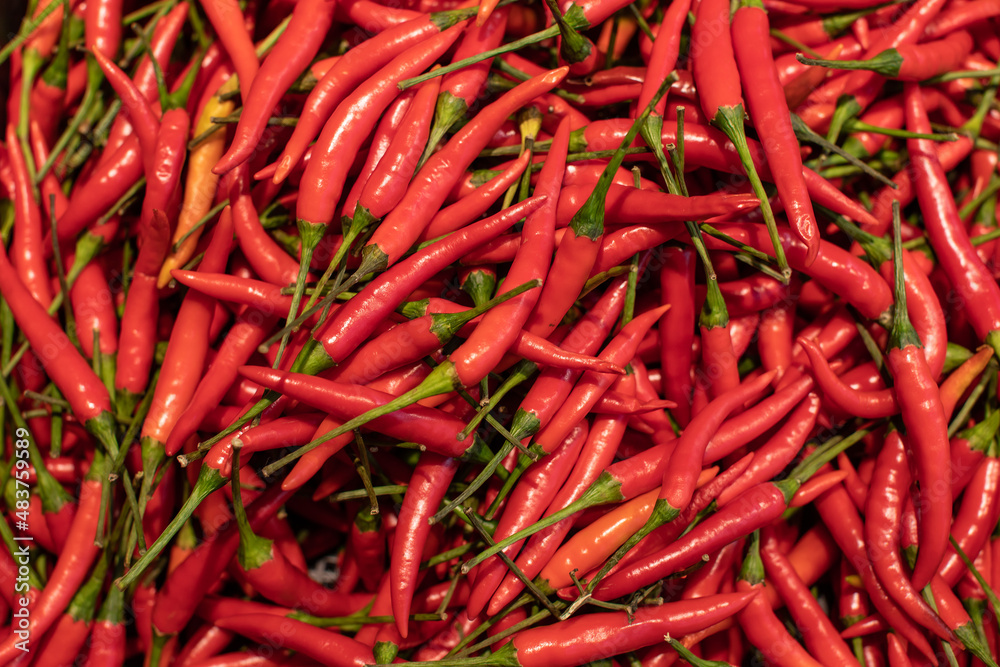 Close up Organic fresh red chillies texture in basket on shelf in supermarket.Spicy and hot of red chilis peppers in grocery store.Fresh organic chili concept Close up Organic fresh red chillies texture in basket on shelf in supermarket.Spicy and hot of red chilis peppers in grocery store.Fresh organic chili concept