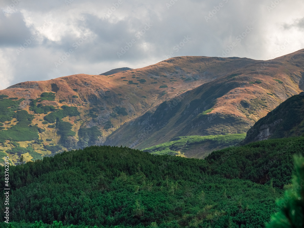 Naklejka premium Colorful Carpathian slopes. Forest in the foreground. Overcast sky