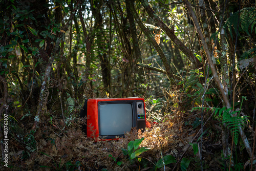 Red retro old television set in the forest