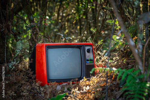 Close-up, red discarded old television set in the forest outdoor