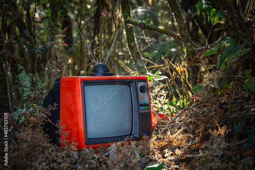 Close-up, red discarded old television set with antenna in the forest outdoor