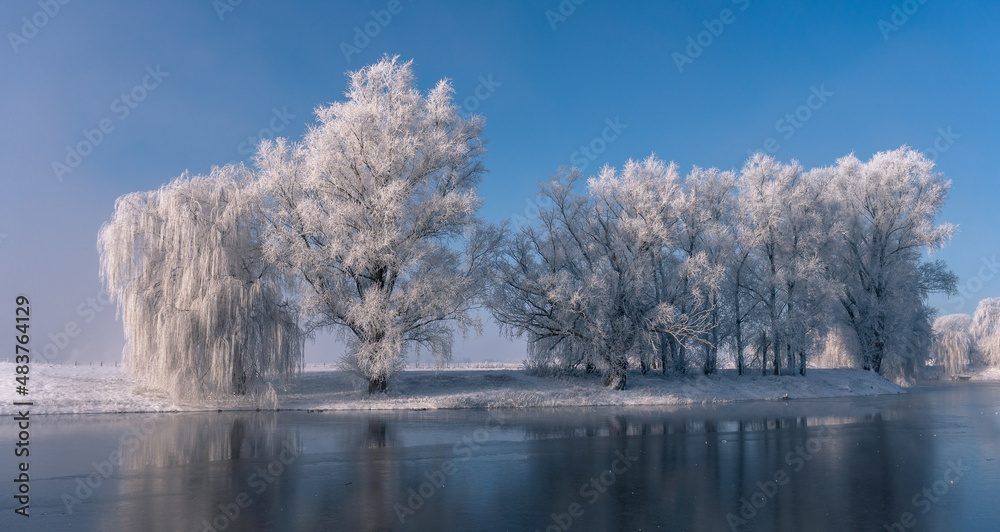 winterwonderland freeze trees