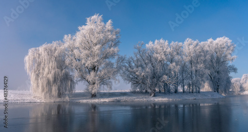 Obraz na płótnie winterwonderland freeze trees w salonie