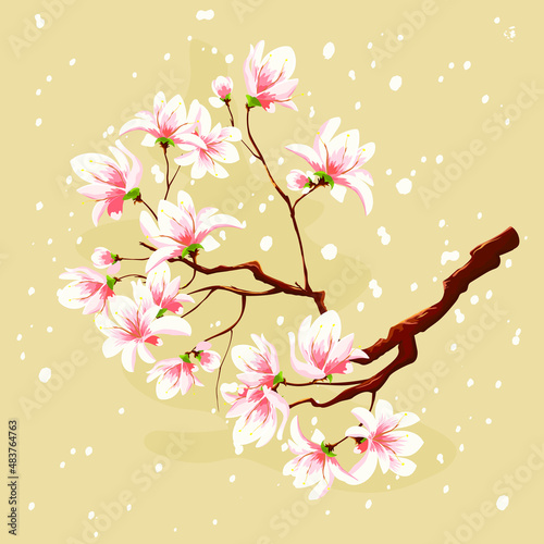 Cherry blossom branch and flying petals. Blooming sakura branch on a soft pastel background. Pink delicate flowers on a tree branch