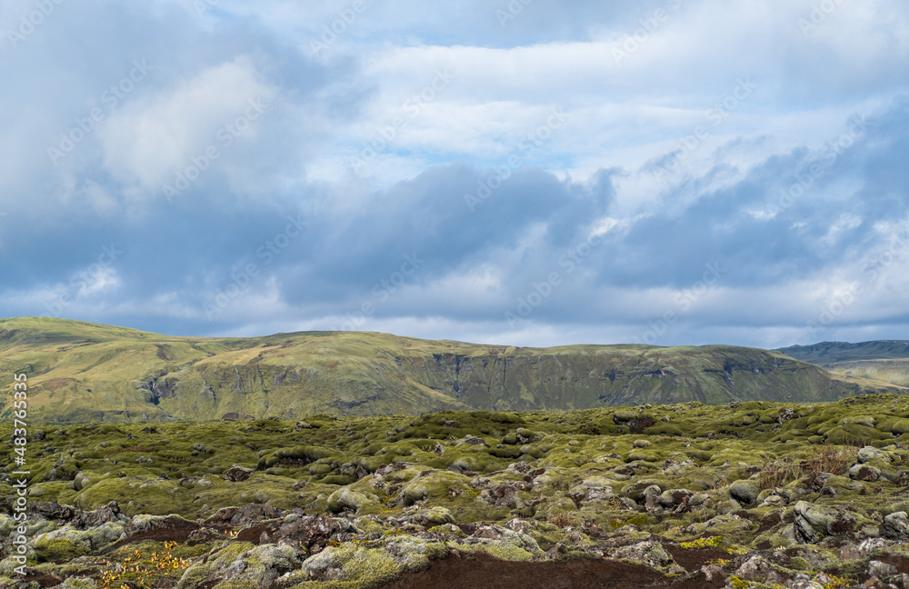 Fototapeta premium Scenic autumn green lava fields near Fjadrargljufur Canyon in Iceland. Green moss on volcanic lava stones. Unique lava fields growth after Laki volcano eruption.