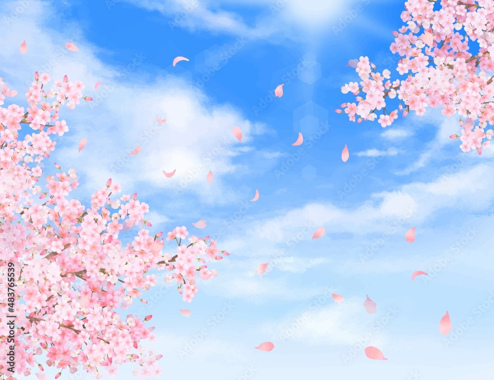 美しく華やかな桜の花と花びら舞い散る春の爽やか青空に光差し込む雲のフレーム背景ベクター素材イラスト 美しく華やかな桜の花と花びら舞い散る春の爽やか青空に光差し込む雲のフレーム背景ベクター素材イラスト