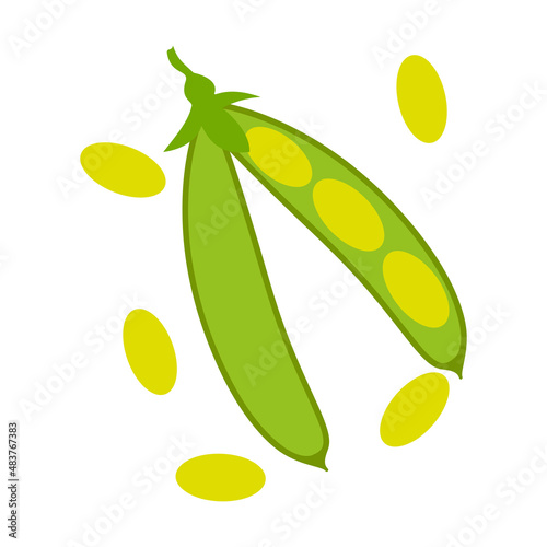 soya isolated vector, natural food ingredient