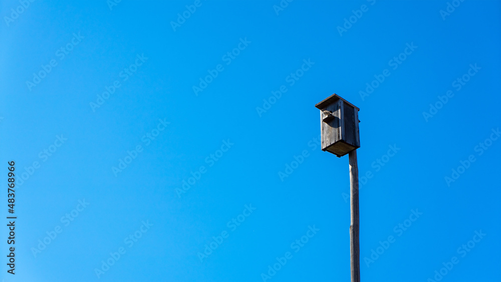 Wooden handmade birdhouse on a pole or stick with a sparrow perched against a blue cloudless sky background. Place for nest, springtime decoration, hanging home, ecology birdbox for birds