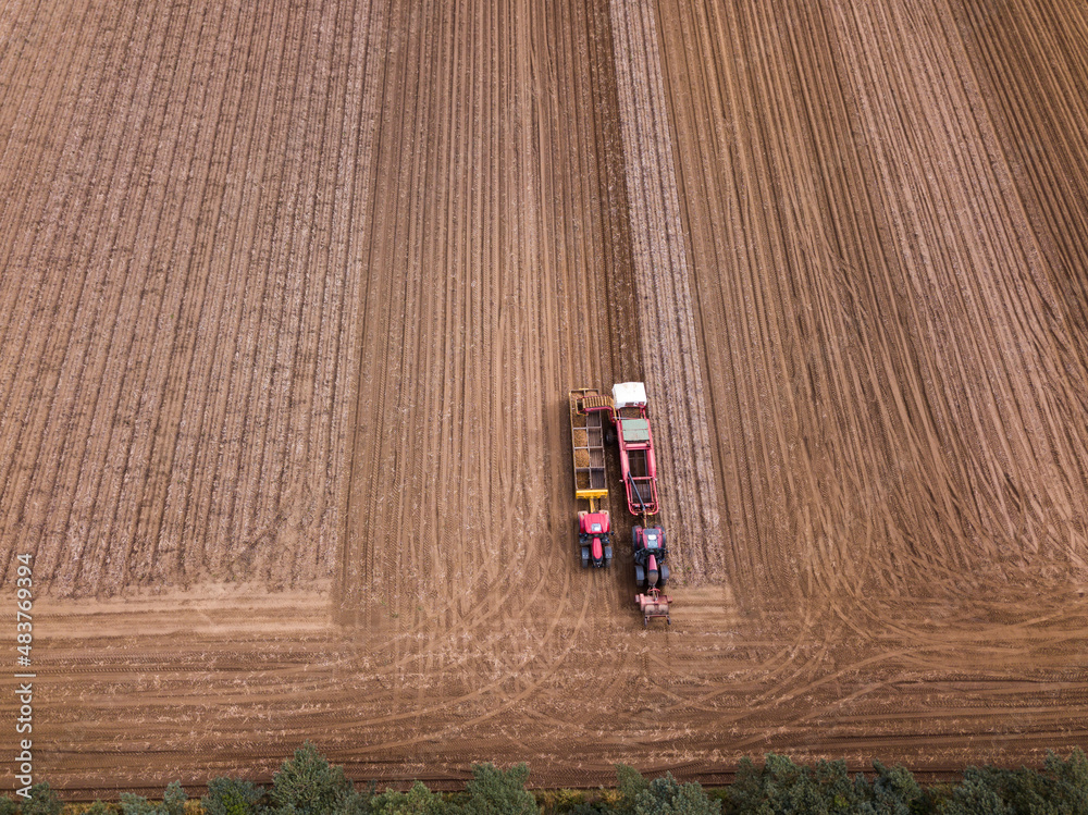 Woodbridge Suffolk UK August 12 2021: A tractor with a harvesting machine harvesting potatoes while loading a trailer that is driving along side it Woodbridge Suffolk UK August 12 2021: A tractor with a harvesting machine harvesting potatoes while loading a trailer that is driving along side it