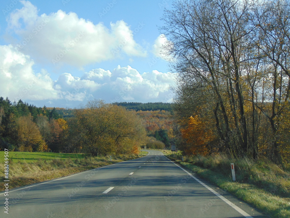 Fototapeta premium camino otoño