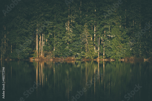 Forest trees reflecting over lake in dark lush green Pacific Northwest woodland setting