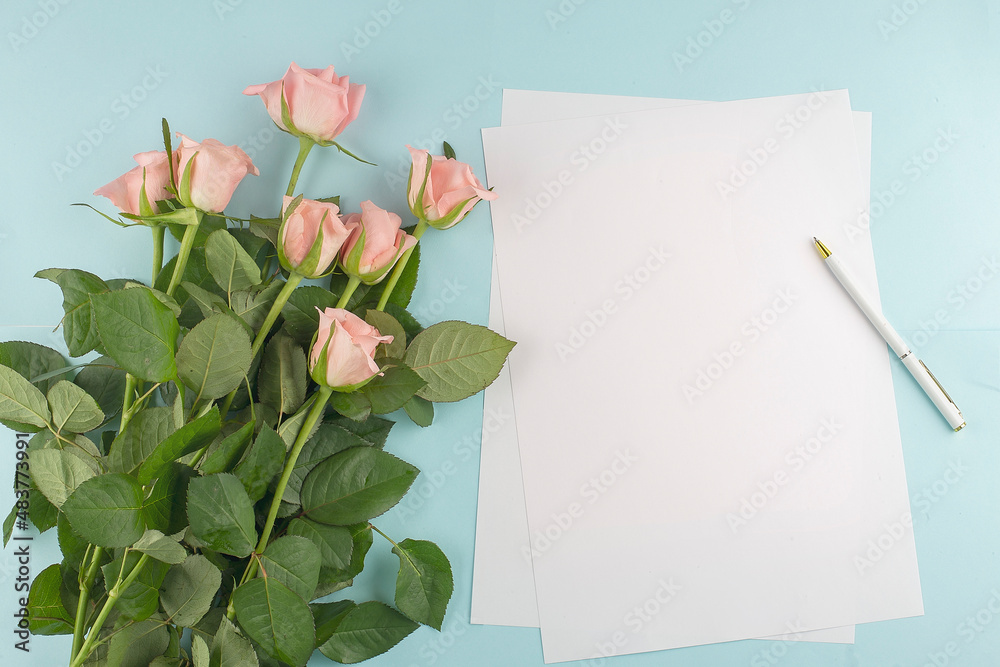 Fototapeta premium Pink roses and paper for text on the blue background, copy space